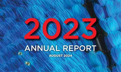 2021 Annual Report