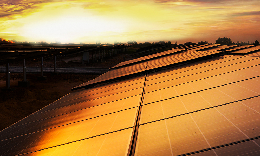 Light reflects off solar panels