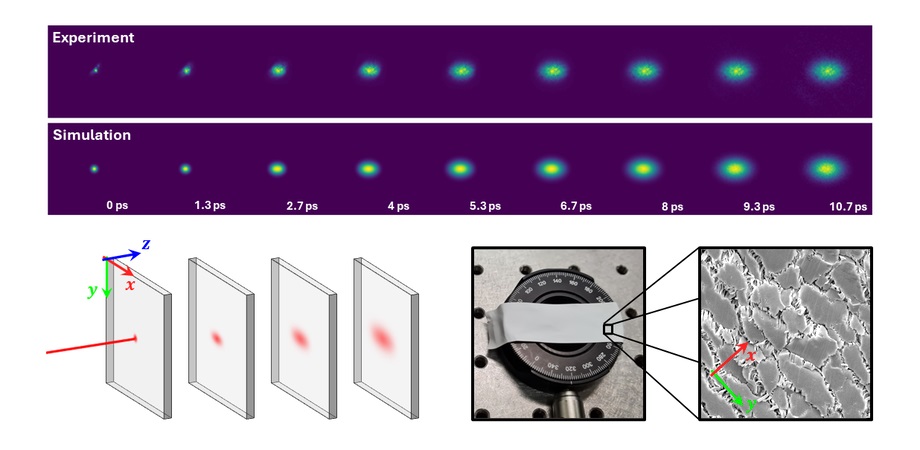 Transient imaging reveals direction-dependent light propagation through a scattering medium