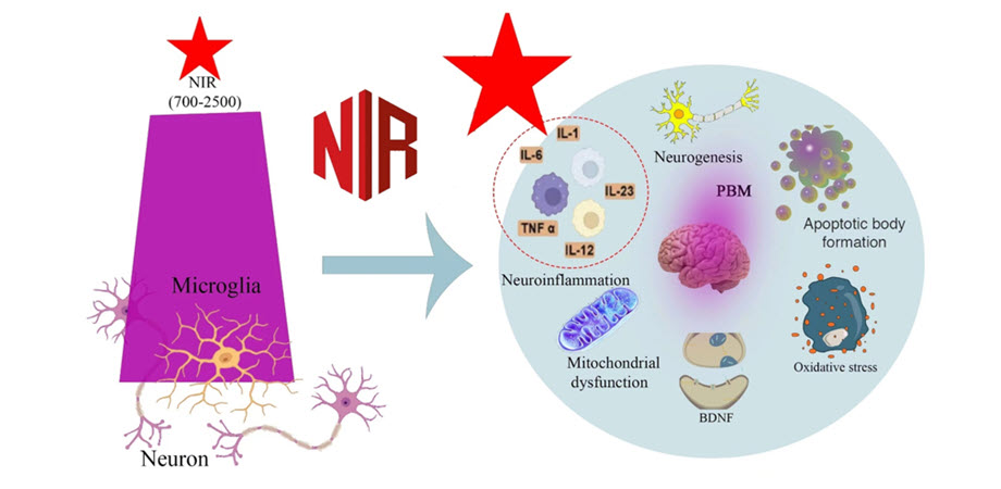 Photobiomodulation technique using a novel near-infrared (NIR) phosphor