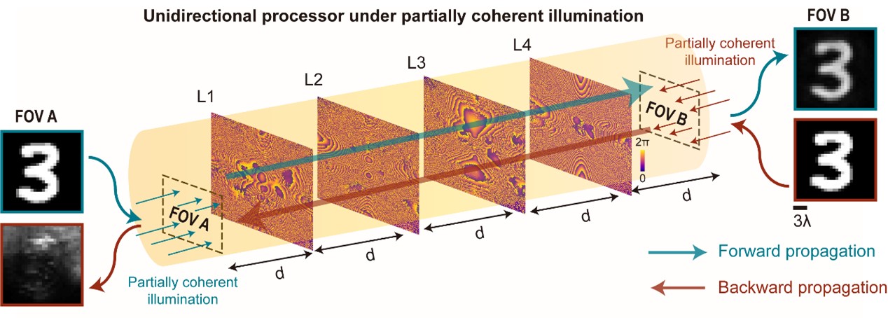 The unidirectional diffractive processor transmits high-quality images in the forward propagation direction