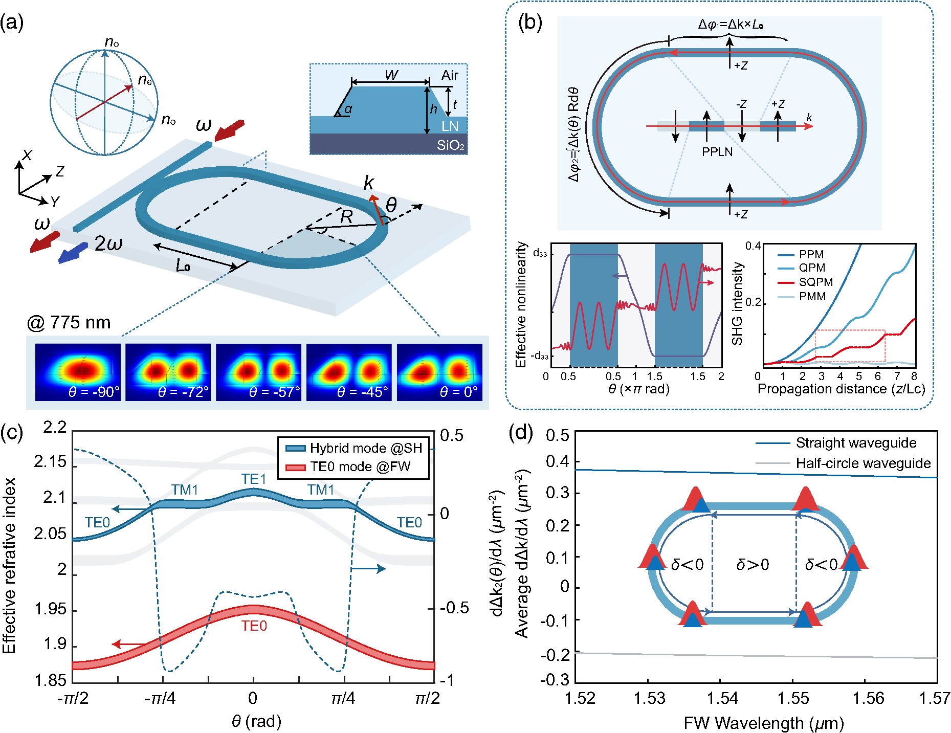 Schematic of the birefringent racetrack resonator on X-cut TFLN