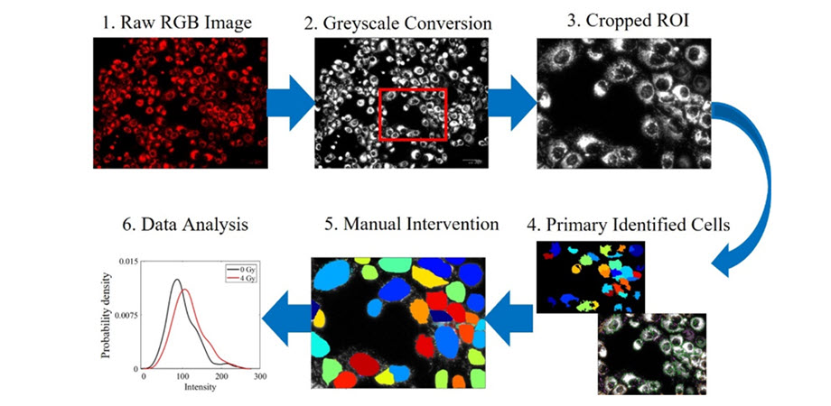 Optical microscopy along with proper image processing software can characterize metabolism per cell